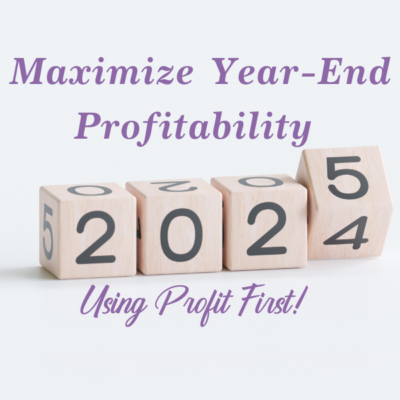 Maximize Profitability in the change from 2024 to 2024